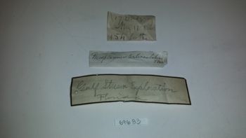 Media type: image; Invertebrate Zoology 69683   Description: specimen labels;